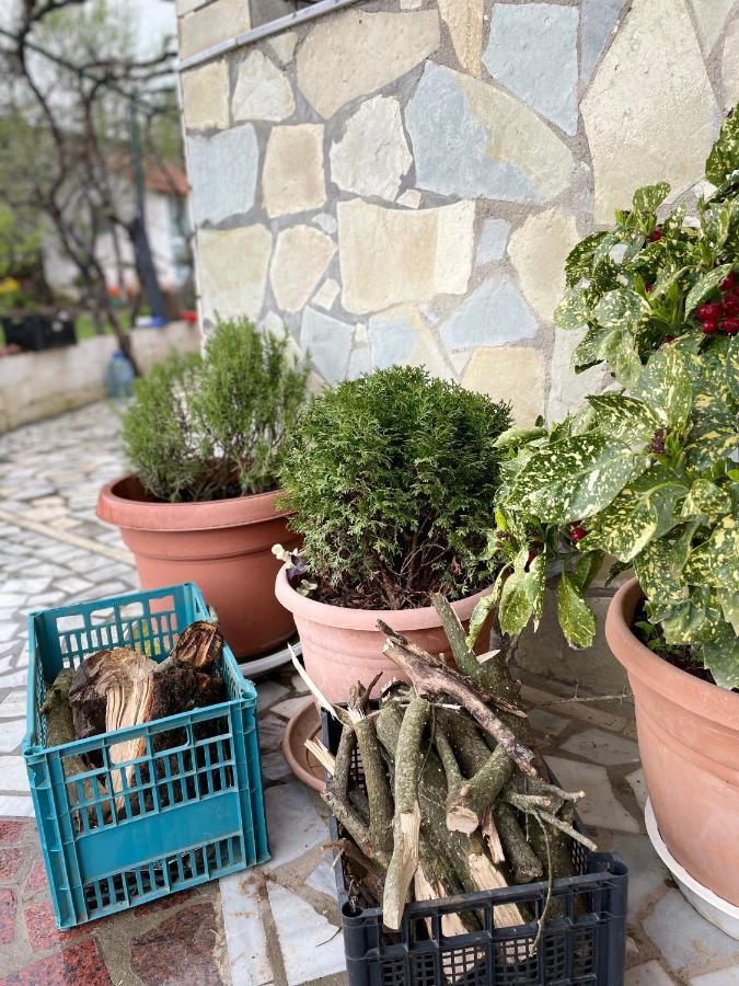 Kasaj Villa Gjirokastër Екстериор снимка